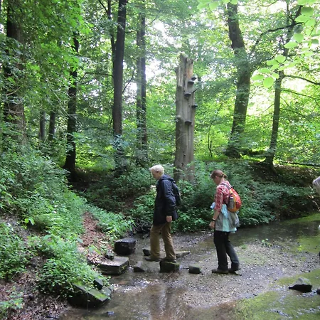 Hotel Havergoh Wander- & Fahrrad-hotel Horn-Bad Meinberg