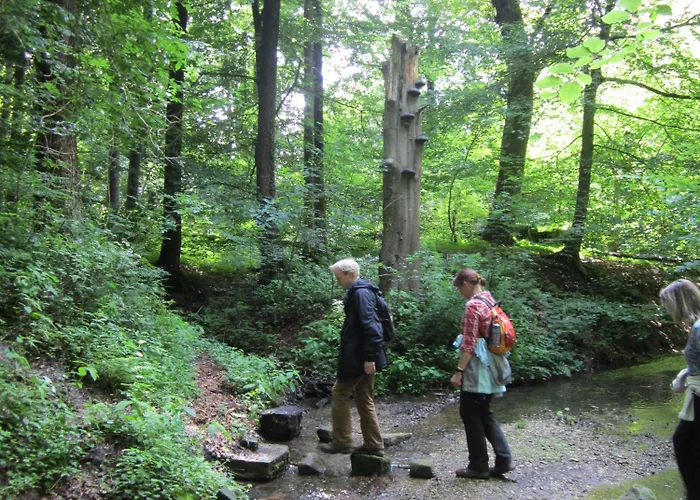 Hotel Havergoh Wander- & Fahrrad-hotel Horn-Bad Meinberg